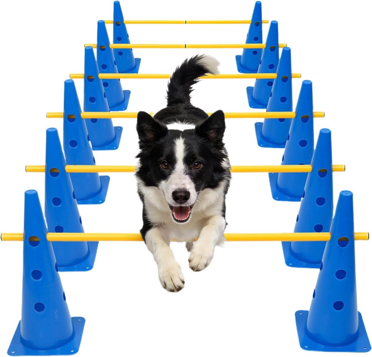 Honden Hindernisbaan - Agility Set - Hondentraining - Hoogteverstelbaar - 1.3 kg - Niet gespecificeerd