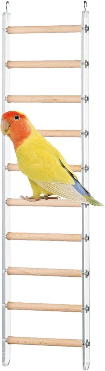 Vogelladder - Kooi klimtouw - Vogel training - 360 graden haak - 10x25cm - Niet gespecificeerd