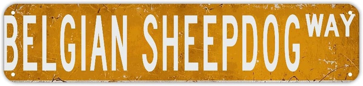 Straatnaambord Metaal - Huisnummer Bord - Decoratie Huis - Gepersonaliseerd Ontwerp - 45 x 10 cm - Stijl-7