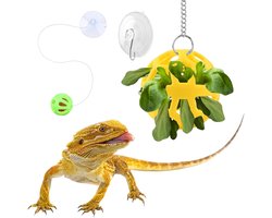 Voer Speelgoed - Hagedis Bal - Instinct Stimuleren - Zuignap Bevestiging - 16 x 16 x 9 cm - Niet gespecificeerd