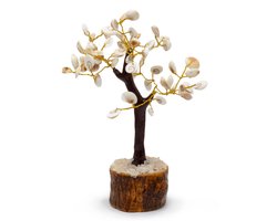 Grote Gomati Chakra Cirkels met Stenen Bomen - (60 stenen)