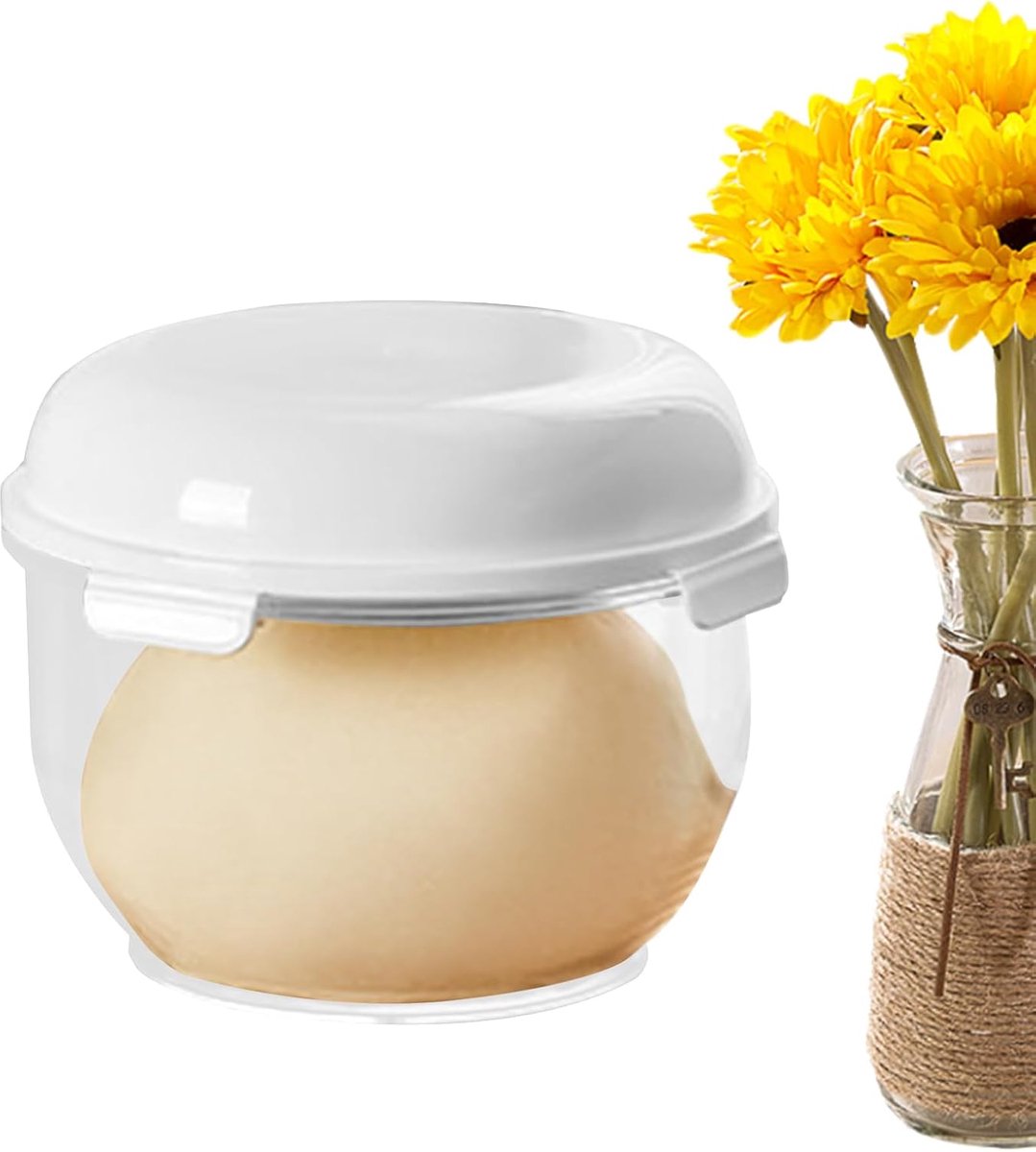 Deeggistingscontainer - Gistingsdoos Opslag - Brood Bakken - Antiaanbaklaag - 3 Liter Capaciteit - Transparant