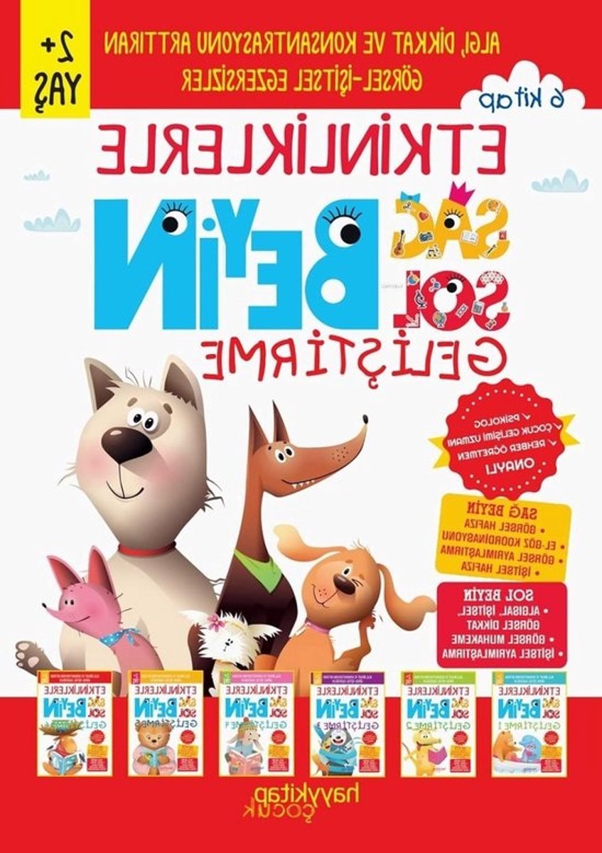 Hersenen Ontwikkeling Set - Breinboeken Kinderen - Cognitieve Stimulatie - Visueel Auditieve Oefeningen - 6 Boeken - Multicolor