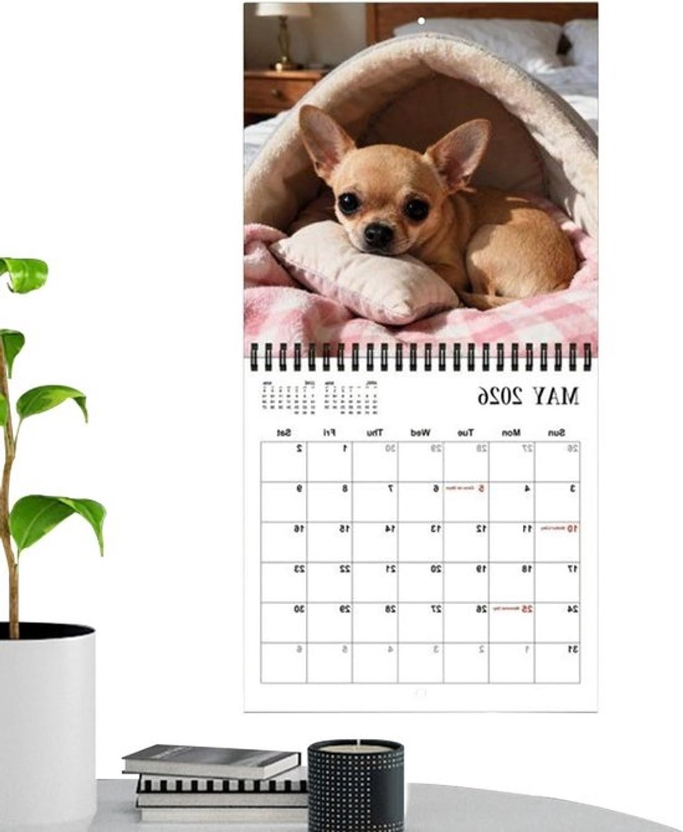 Gezinsplanner Kalender 2026 - Maandkalender Wandkalender - Schema Organiseren - Speelse Hondenthema's - 21 x 21 cm - Meerdere kleuren