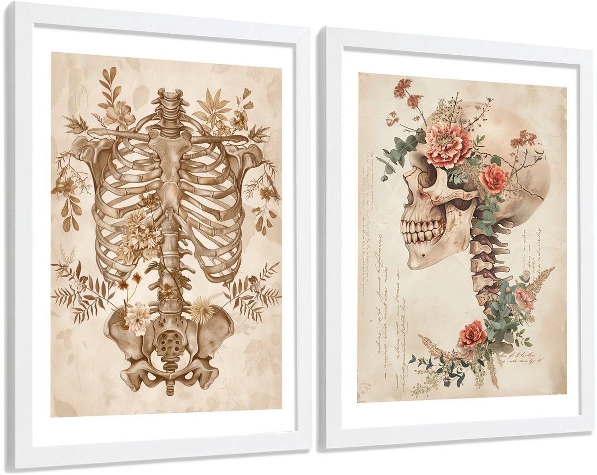 Set van 2 Anatomie Posters - Skelet en schedel - A3 met wit kader