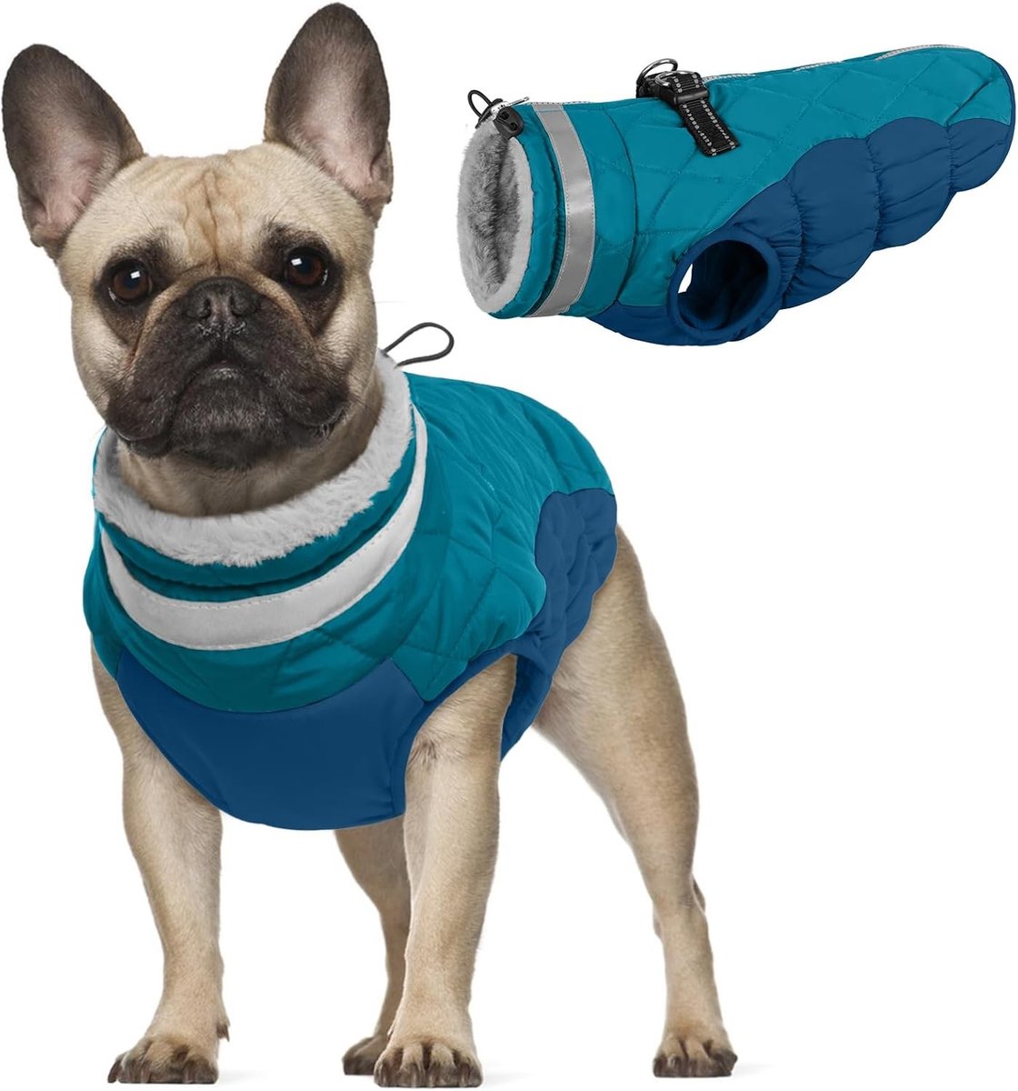 Waterdichte en Warme Jassen voor Kleine Honden, Reflecterend en Gevoerd voor Herfst en Winter, Mode en Comfort (Donkergroen, XS)