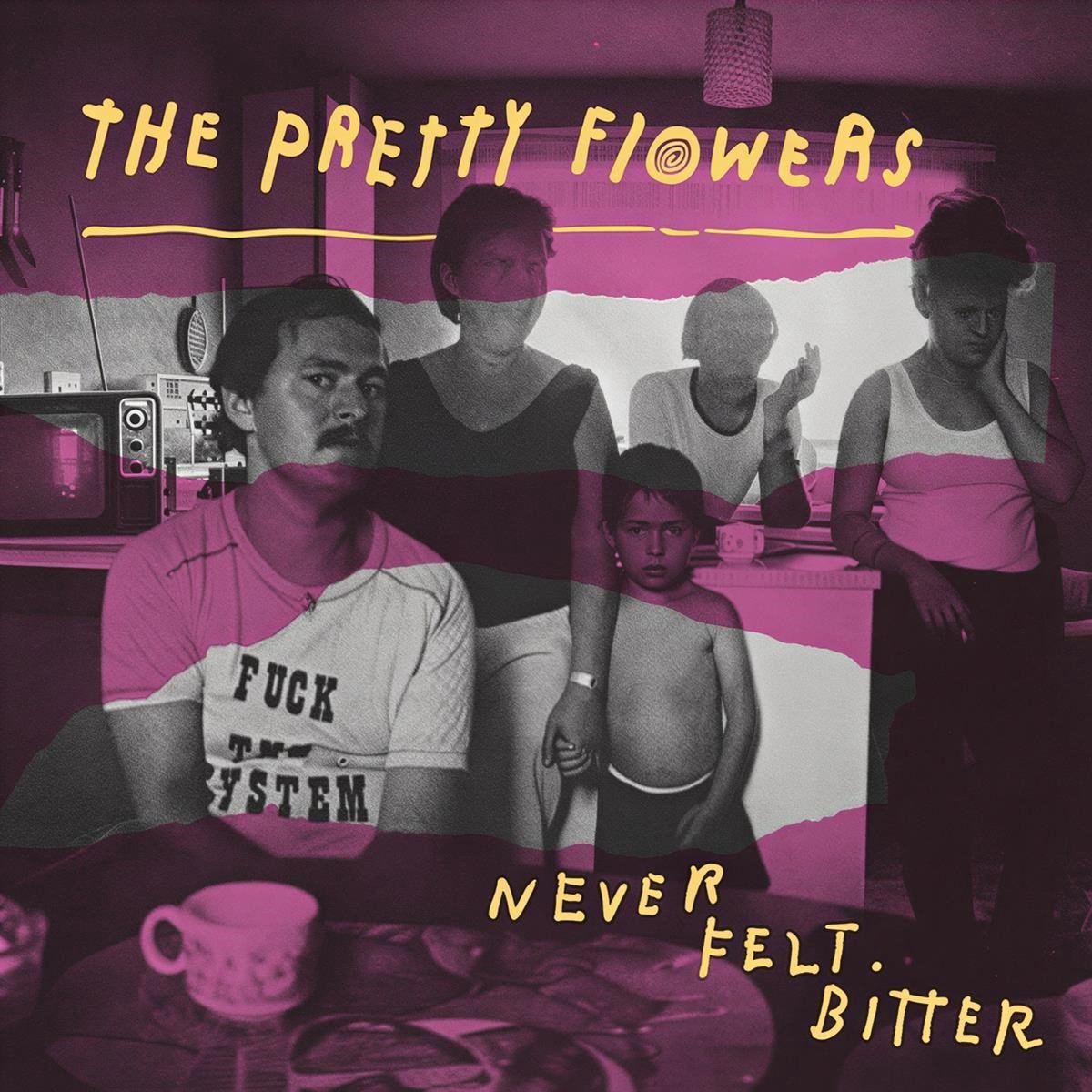 Pretty Flowers - Never Felt Bitter (CD)