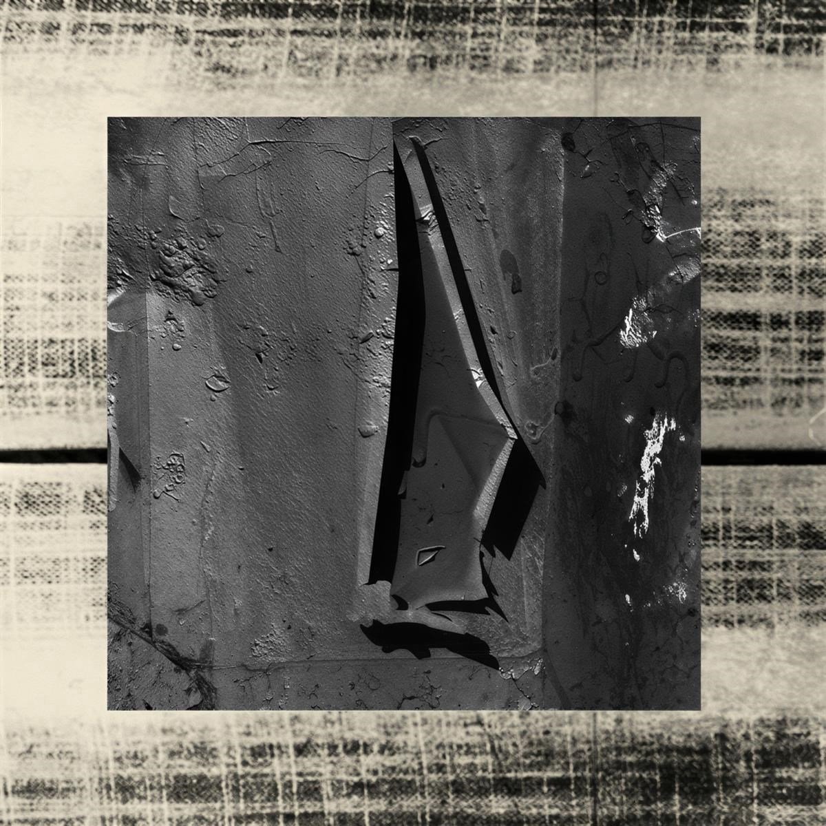 Echolocation