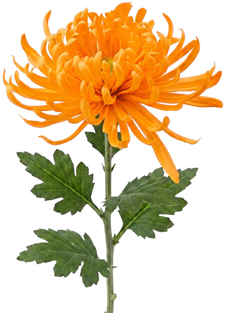 Clayre & Eef Kunstbloem Oranje Kunststof