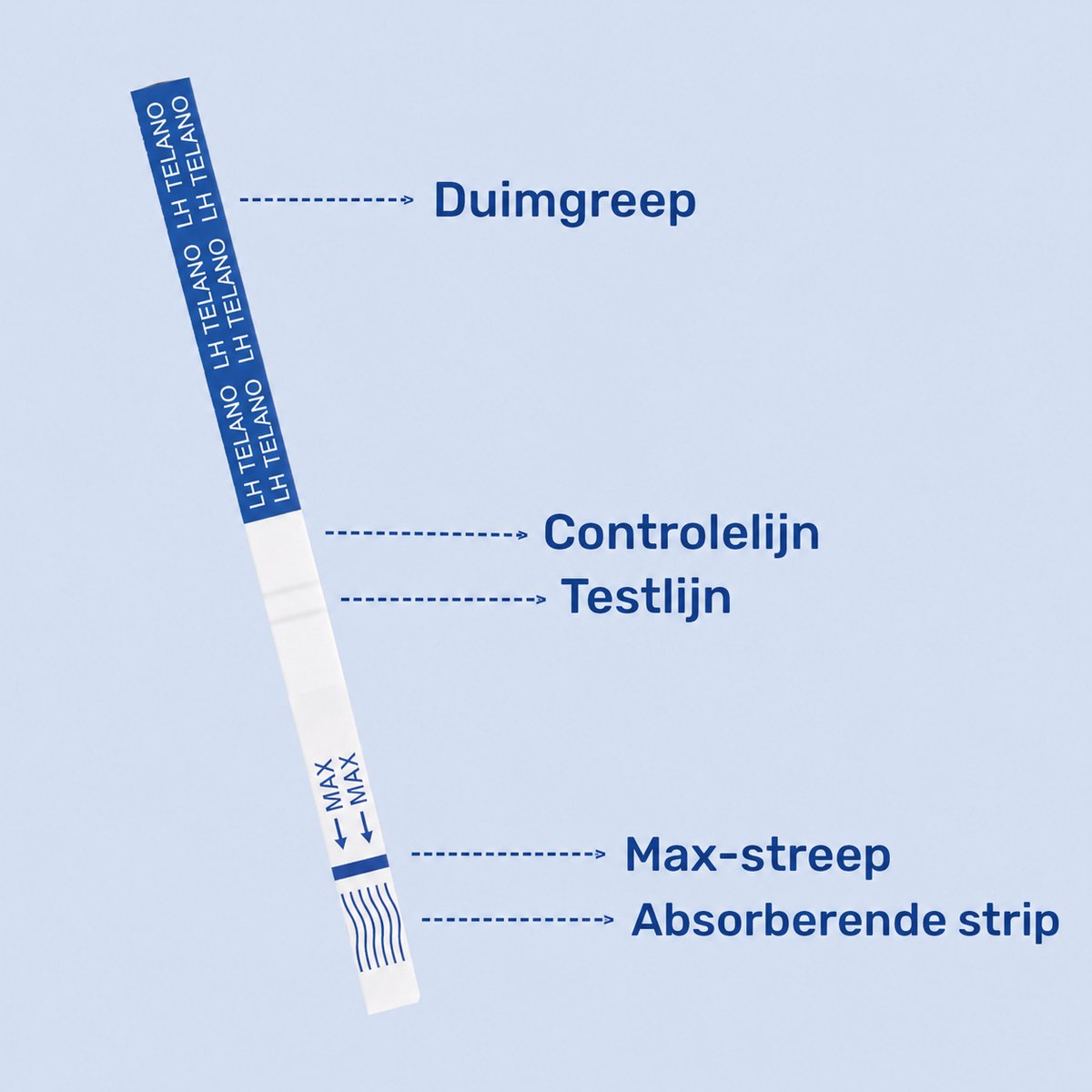 Telano Ovulatietest 30 stuks Dipstick Gevoelig - 1x Zwangerschapstest Strip - Ovulatiekalender – foto 3