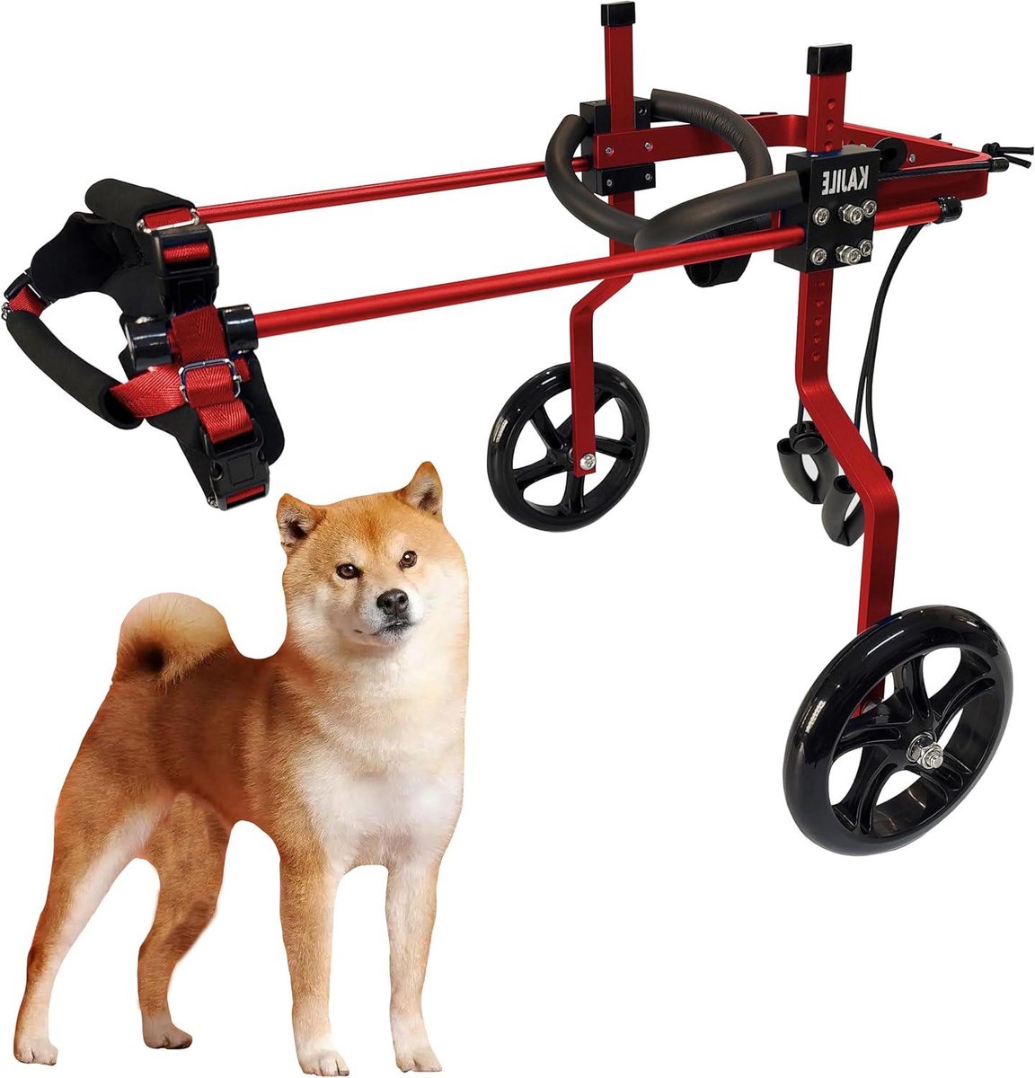 Hond Rolstoel - Huisdier Hulp - Achterpoten Revalidatie - Verstelbare Afmetingen - Hoogte 40-50cm - Zwart
