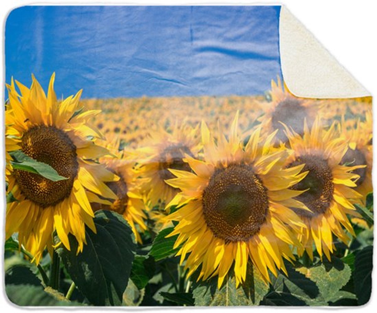 Fleecedeken Zonnebloemen, 96x146cm, Polyester Sherpa, FD2025037