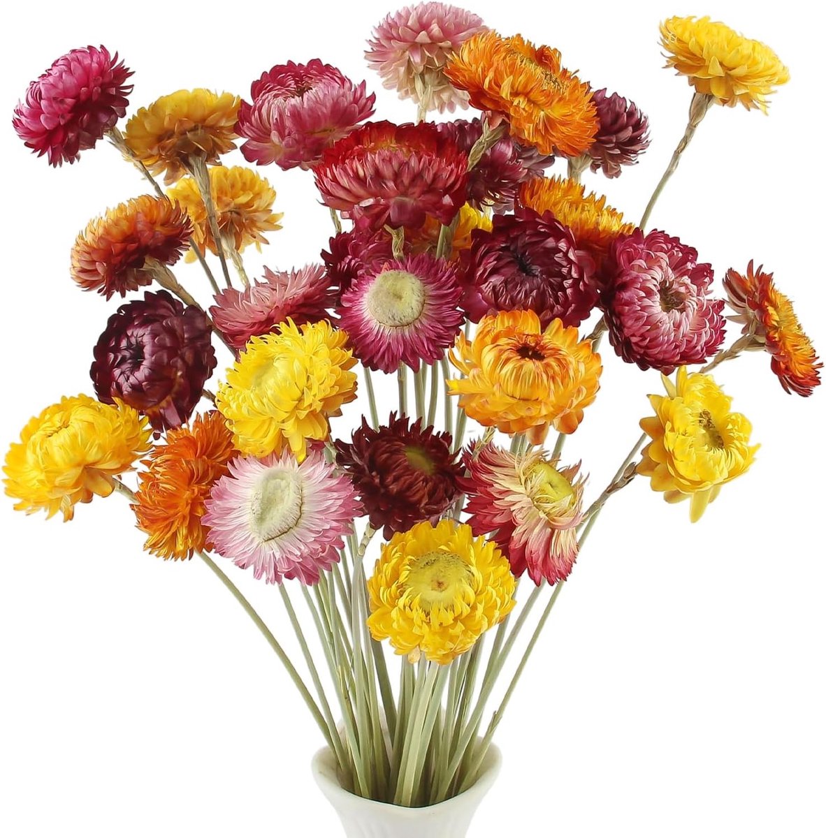 Decoratieve Droogbloemen Set van 32 - Natuurlijke Gedroogde Bloemen voor Bruiloften, Thuisdecoratie en Creatieve Projecten