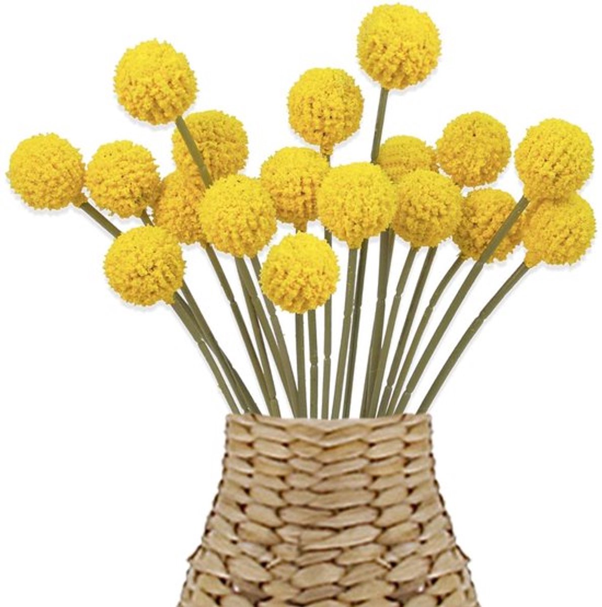 Dailygoods- Kunstbloemen 18 Stuks - Gedroogde Billy Balls