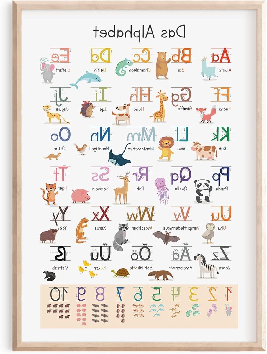 Leerposter Alfabet - ABC Kaart - Kinderen Leren - Extra Oefenbladen - DIN A2 - Multicolor