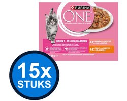 15x Purina One - Junior Zalm, Kip & Wortels in Saus (8x85g) - Kattenvoer Natvoer - 680 g