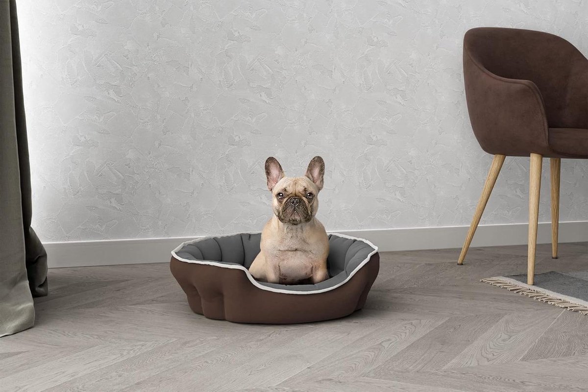 Hondenbed - Kattenmand - Ontspannen Rusten - Antislip Onderkant - 59 x 53 cm - Bruin Grijs