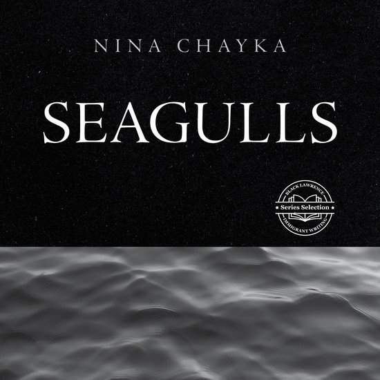Seagulls - cover