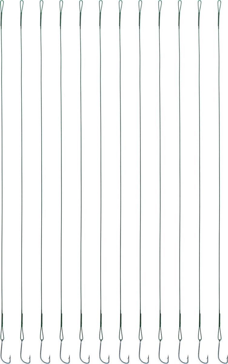 Set Vis Takkels - Haken Set - Roofvis Vissen - 12 Stuks Set - Maat 4 - Nylon