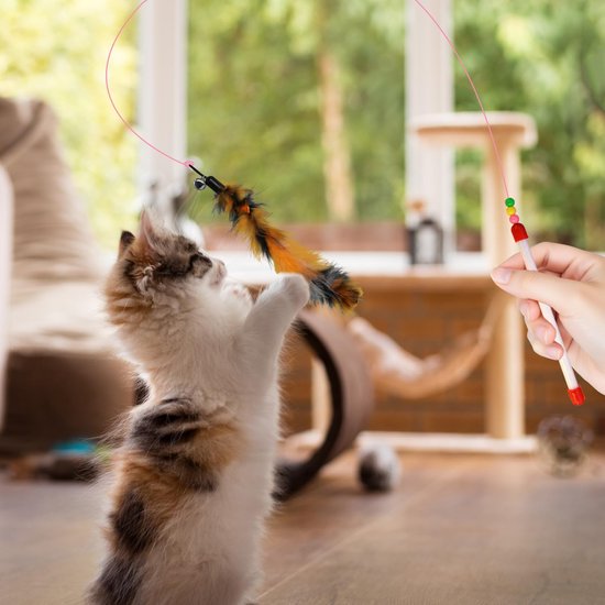16 stuks kattenveren speelgoedset, interactief speelgoed met 2 toverstokken en 14 vervangende veerplagertjes met bel voor kitten of kattenvanger, plezier hebben oefening spelen — afbeelding 3