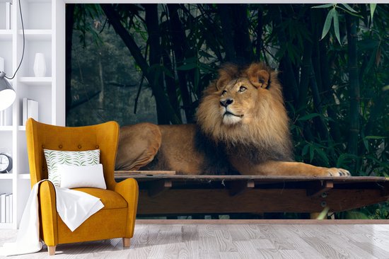 Papier Peint - Papier peint photo Lion - Forêt - Sauvage - Largeur 390 cm x Hauteur 260 cm