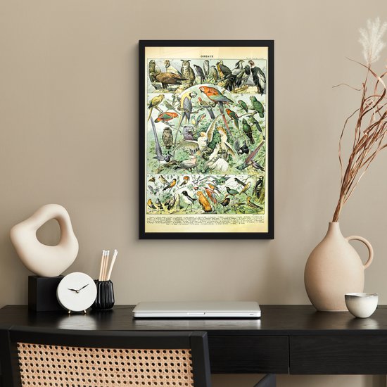 Affiche avec cadre Animaux - Vogels - Design - 40x60 cm