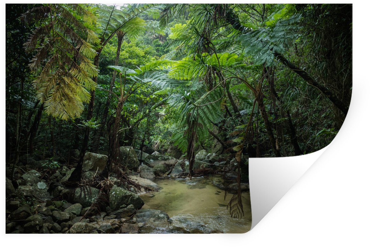 Muurstickers - Sticker Folie - Riviertje in tropische jungle - 60x40 cm - Plakfolie - Muur