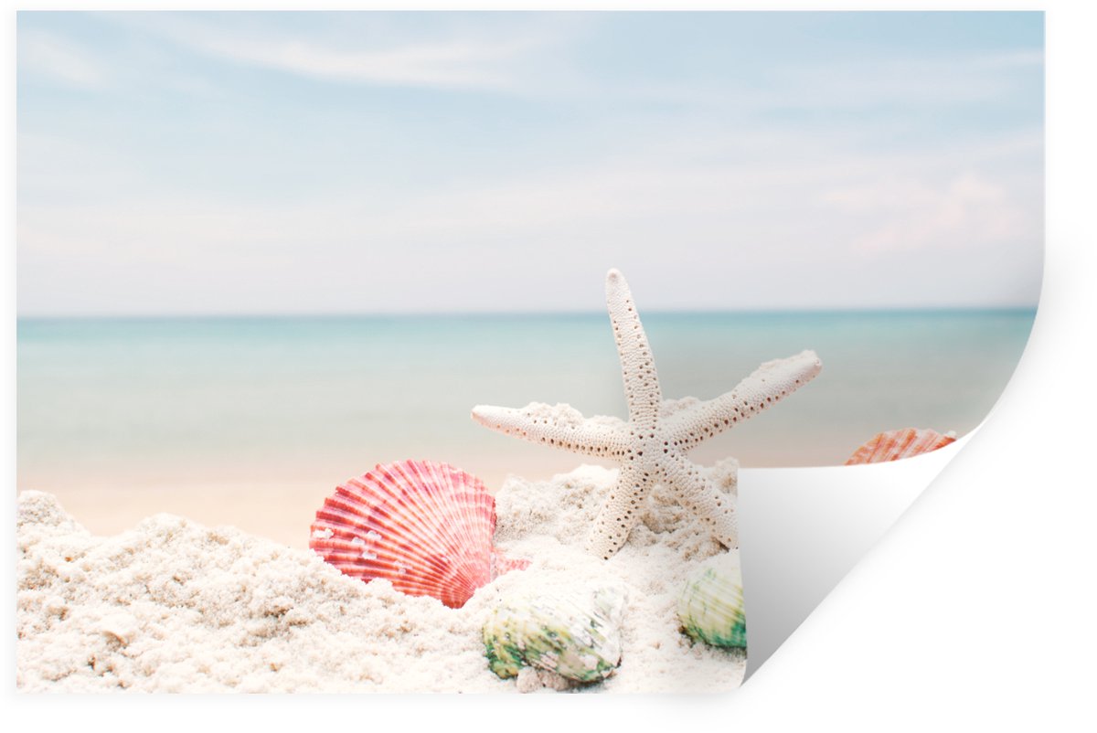 Muurstickers - Sticker Folie - Zeester - Schelpen - Zee - 90x60 cm - Plakfolie - Muurstick