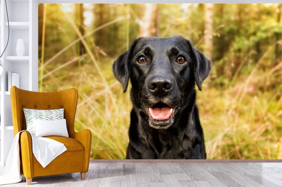 Papier peint - Papiers Papier peint photo - Happy Black Dog - Largeur 345 cm x Hauteur 220 cm