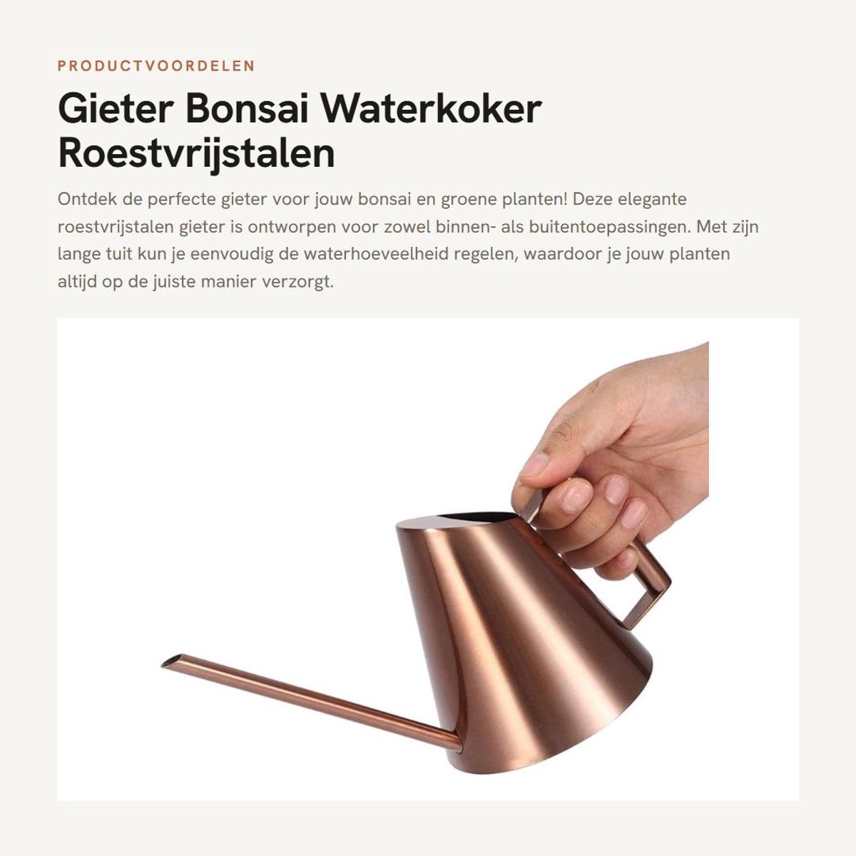 Dailygoods- Gieter 400ml - Roestvrij Staal - Lang Mondstuk - Ergonomisch Handvat - Duurzaam - Voor Binnen Planten - Waterkan