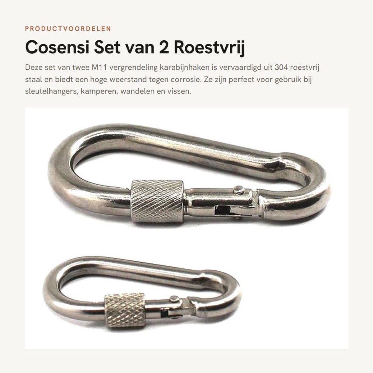 Dailygoods- Karabijnhaak M11 - Roestvrij Staal - Vergrendeling - Sleutelhanger - Kamperen - Wandelen - Dubbele Bescherming - 2 Stuks - Haak