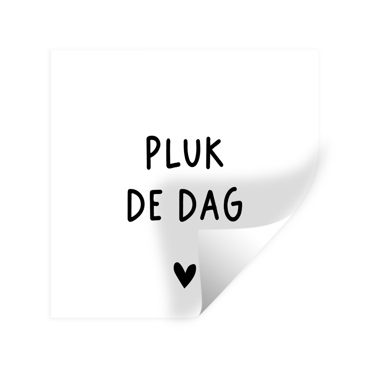 Muurstickers - Sticker Folie - Spreuken - Quotes - Pluk de dag - Carpe diem - 80x80 cm - P