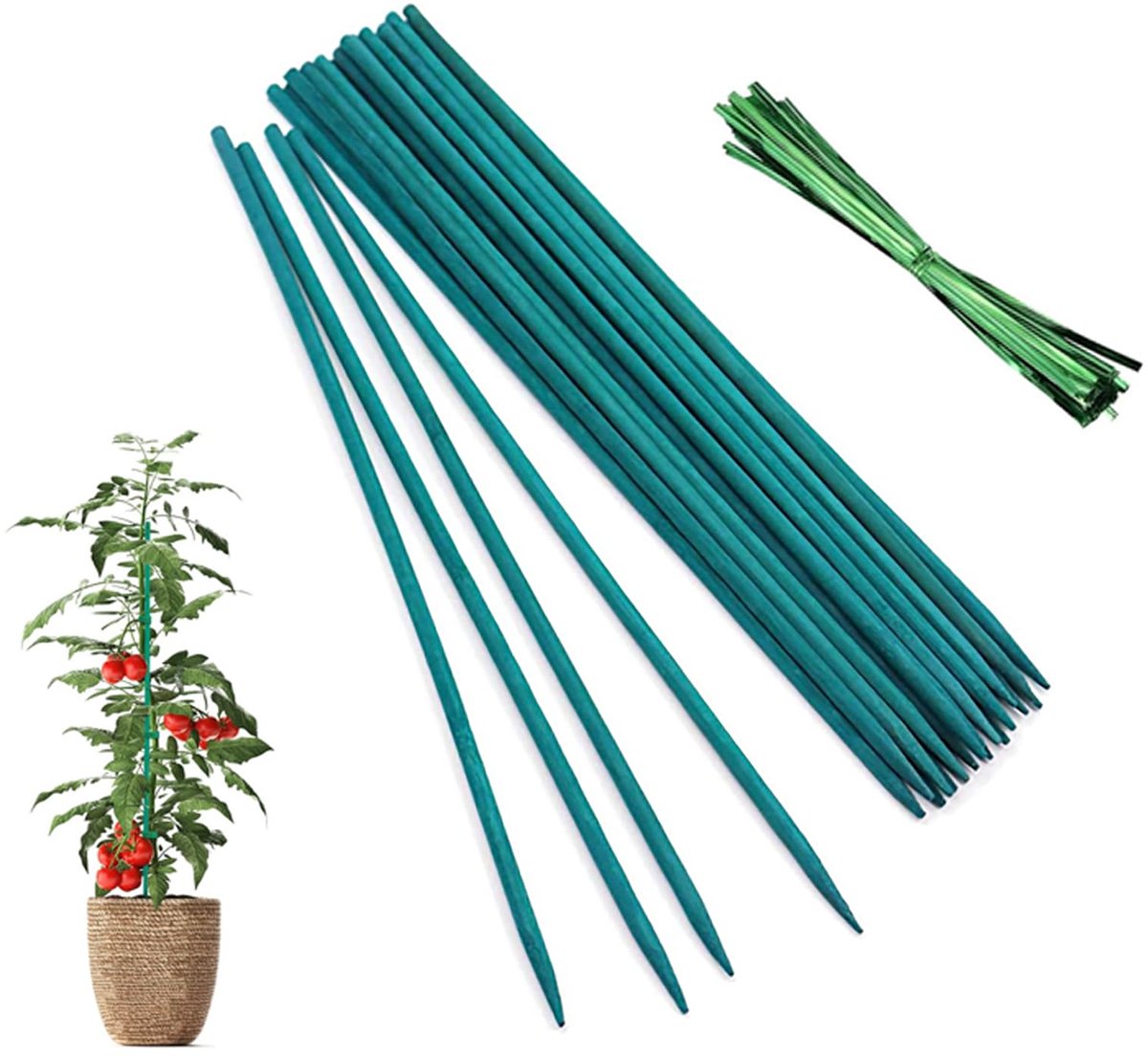 25 stuks 30 cm groene bamboestokken, plantenstaaf, 25 stuks metalen bindbanden, groene plantenstaak, bloemenplectrums, plantenstokken, uitbreiding van de plantensteun, plantenstok