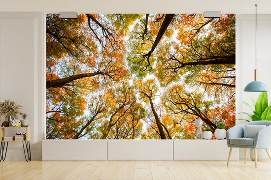 Papier peint - Papier peint photo Forêt - Arbres - Automne - Largeur 420 cm x hauteur 280 cm