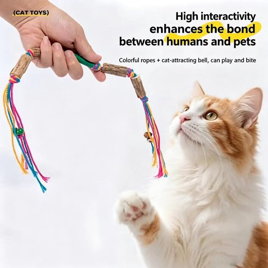 Kattenspeelgoed, 4 stuks kattenkruidstokjes, kattenkruidstokjes van Silver Vine hout met katoenen touw, kauwstokken kat tandverzorging, kattenspeelgoed voor tandverzorging en activiteit — afbeelding 2