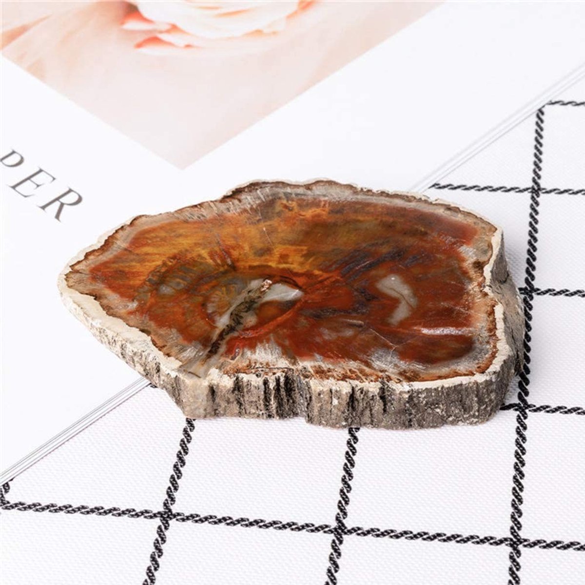 Dailygoods- Versteend Hout Ornament - Fossiel Stuk - Onderwijs Materiaal - Decoratie - Uniek Stuk - 7cm-9cm