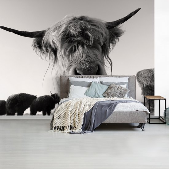 Wit Behang Behang - Fotobehang Schotse Hooglander - Zwart - Wit - Dieren - Breedte ...