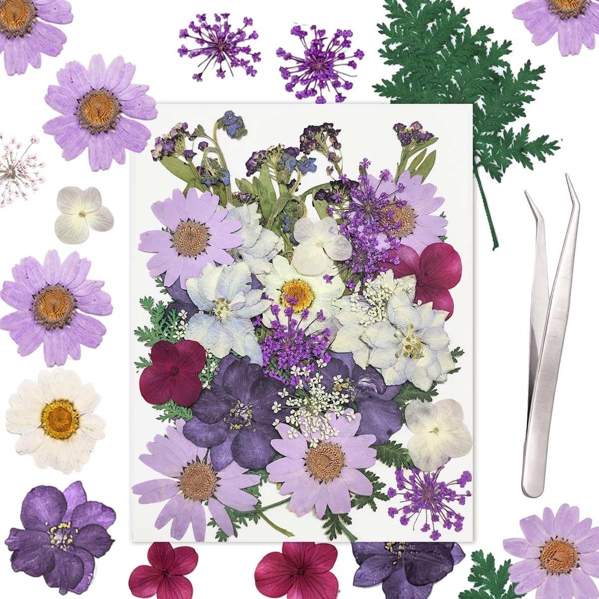 Gedroogde Geperste Bloemen voor Creatieve Projecten - 40 Stuks in Paars voor Kaarsen, Hars, Sieraden en Scrapbooking DIY (11 Stijlen)