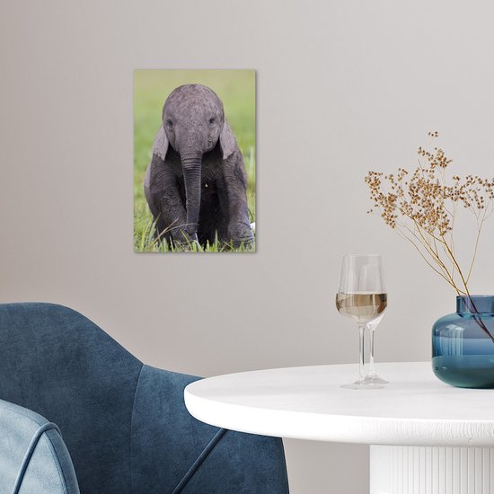 Affiche un bébé éléphant - 20x30 cm