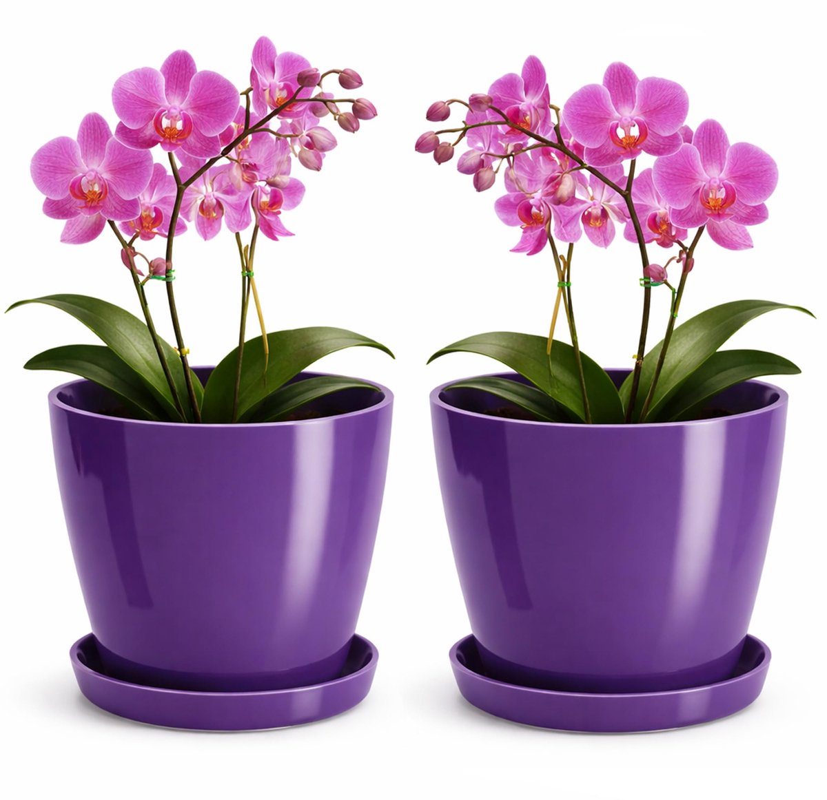 Plantenbak van kunststof, decoratieve pot voor grote en kleine planten, set van 2 bloempotten met onderzetter, bloempot kruidenpot, pruim, diameter 14 cm