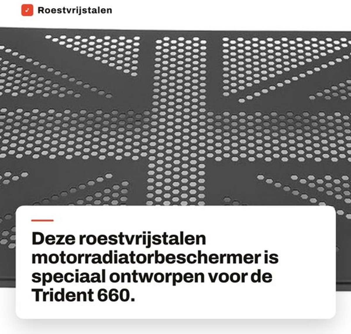 Roestvrijstalen Motorradiatorbeschermer voor Trident 660