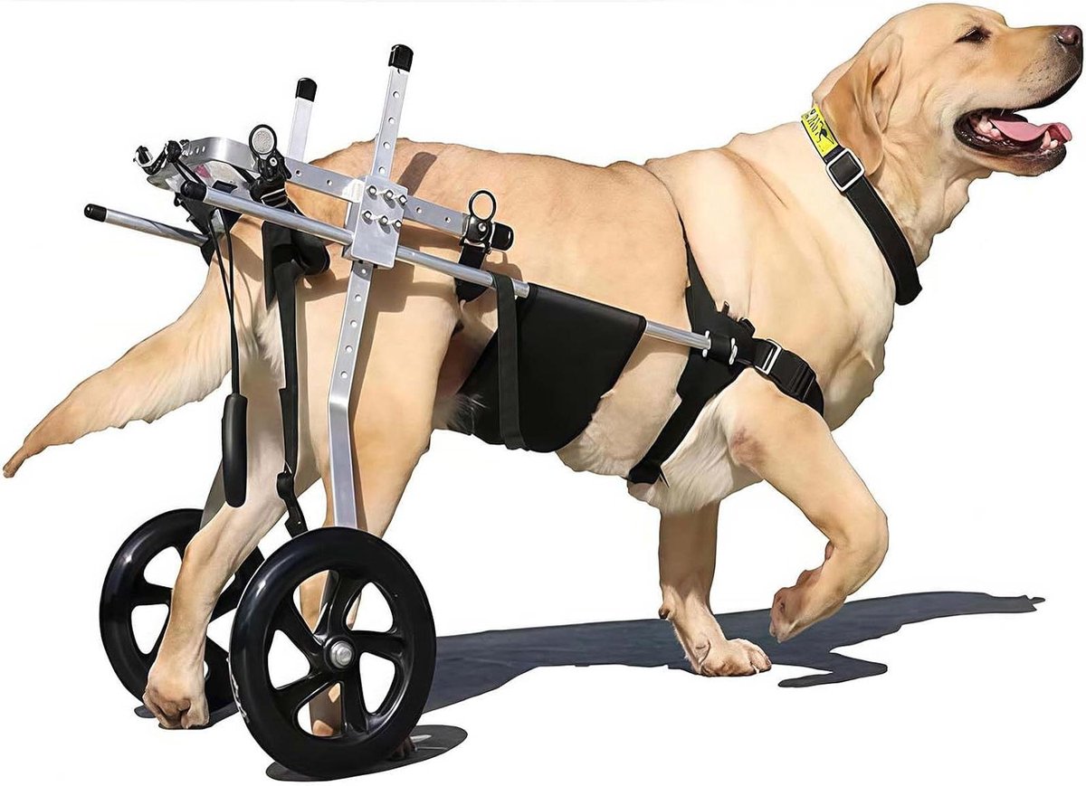 Hondenrolstoel - Mobiliteitshulp Hond - Ondersteuning Achterpoten - Verstelbaar Aluminium - Verstelbaar - Zilver