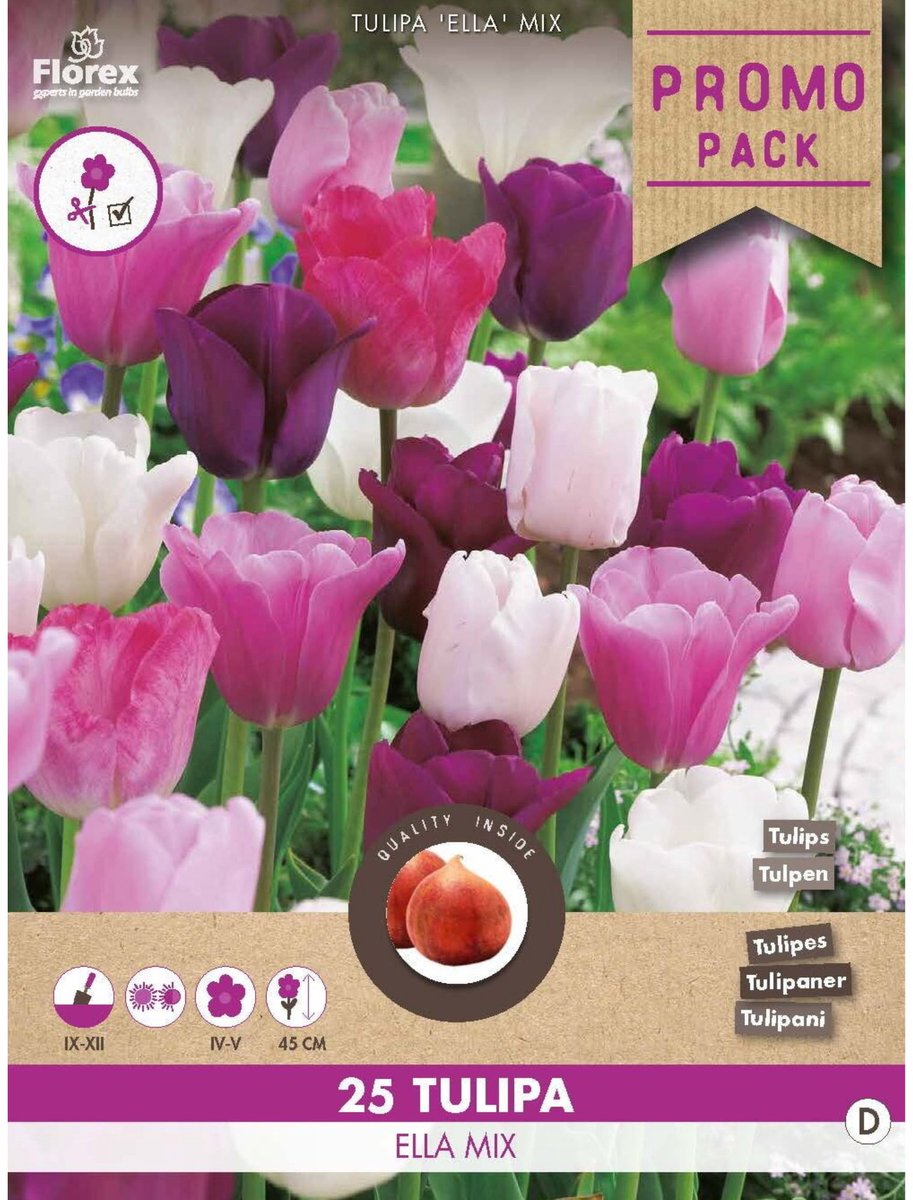 Tulpen Ella mix - Tulipa - Snijbloemen - Voorjaarsbollen - bloeit in April / Mei