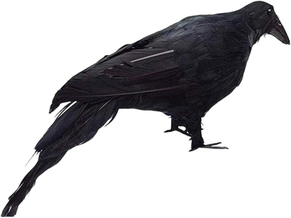 Kraai Lokvogel - Vogelsculptuur Nepkraai - Tuin Decoratie - Realistisch Ontwerp - 30x11 cm - Zwart