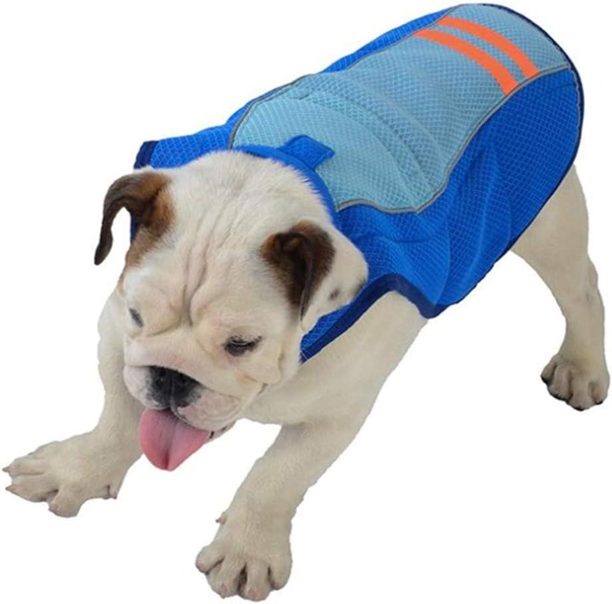 Honden Koelvest - Hondenjasje Koel - Hond Koel Houden - Verdampingstechnologie - XL - Blauw