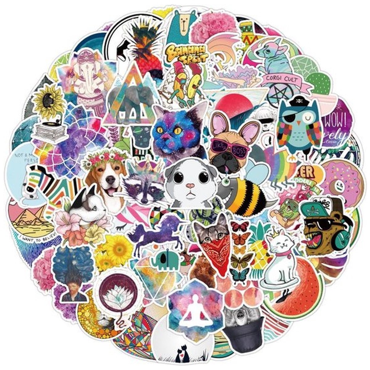 100 VSCO Girl Stickers – Dieren, Planten, Teksten & Aesthetic