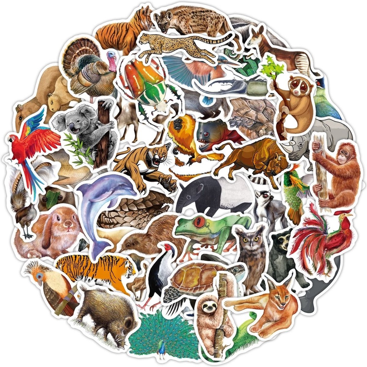 80 Jungle Dieren Stickers – Wilde Dieren & Regenwoud