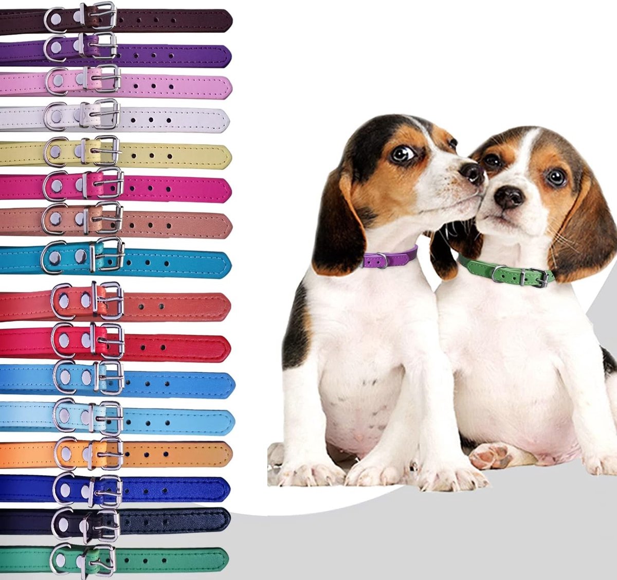 Set van 12 of 16 verstelbare leren ID-halsbanden voor puppy's en honden, geschikt voor nekomtrek van 15,2 tot 45,7 cm, ideaal voor training en identificatie