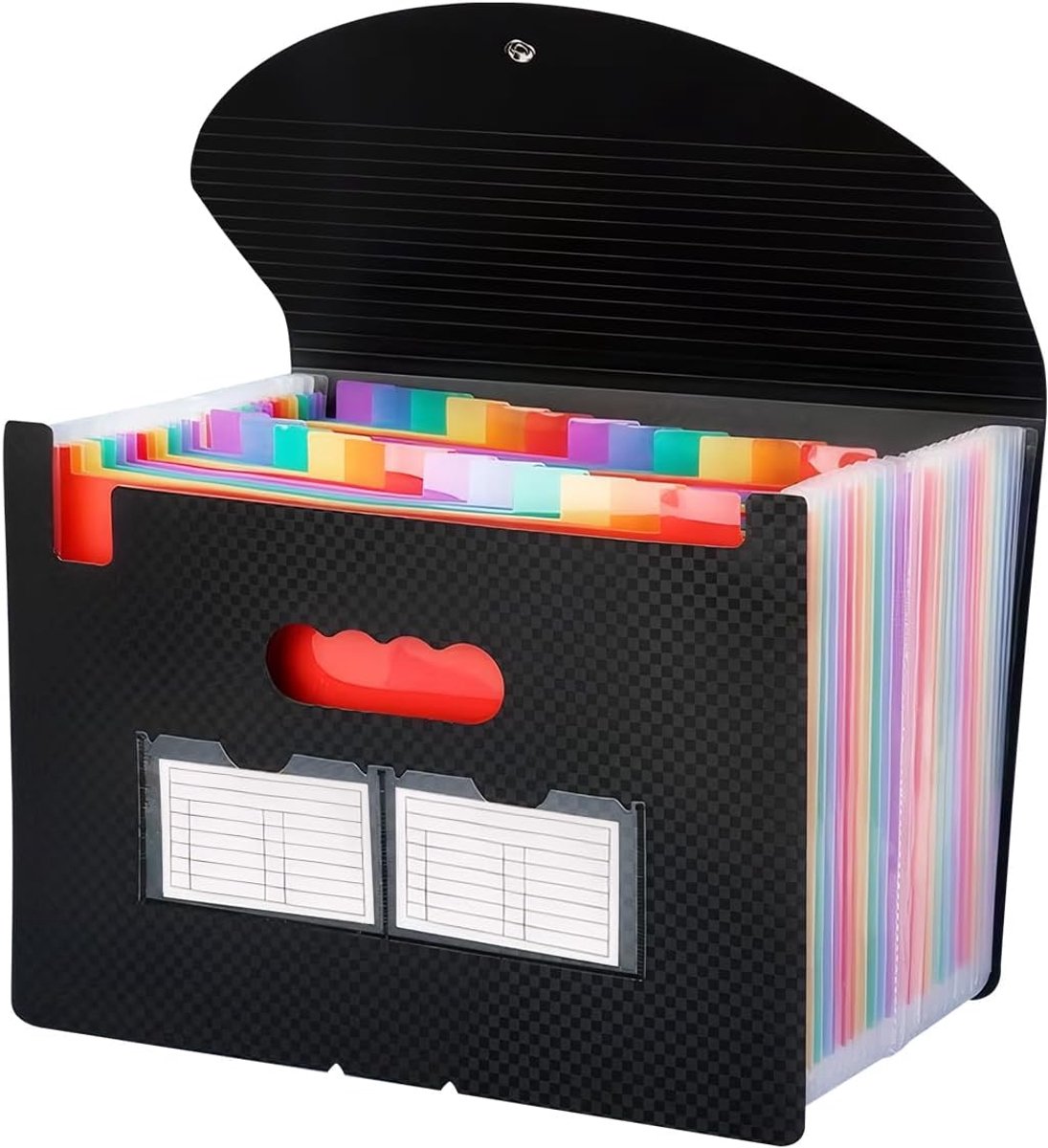 Organizer Colored Fan Folder A4 with 12 and 24 Compartments, Advanced Folder in Format A and in Letters, Document - ShopVlot