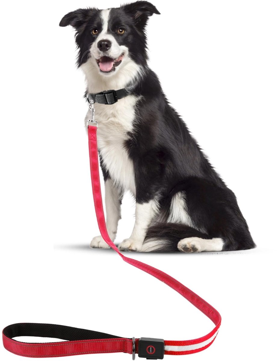 Hond Led-hondenriem 1,2 m - Oplaadbaar rood - Reflecterend met 4 lichtmodi - Hoge zichtbaarheid voor wandelingen - ShopVlot